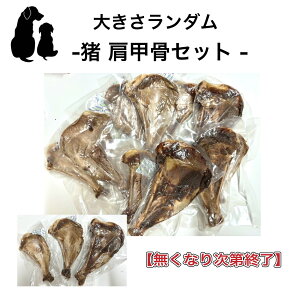 yȂȂ莟Iz 傫_  bZbg