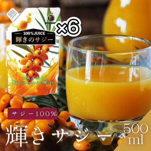 Y TW[ 500ml TW[W[X ^Cv 200ނ̉h{ S⋋ e N hN r^~C S_ A~m_ TW[x[ HMtg j