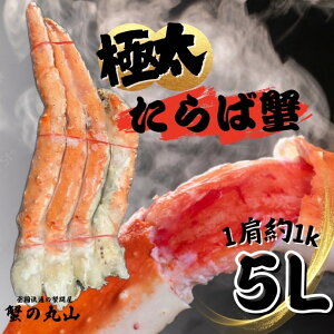 I̊ێR ɑ5L {C^oKj ^oKj {C^oVN ɑTCY 11L Ε N Nn I  VN gppɋl܂Jj