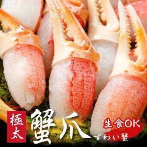 傫M YC Jj 1kg Iׂ   ɒ YCKj I ɂ ̓ ̓ j Mtg HMtg j