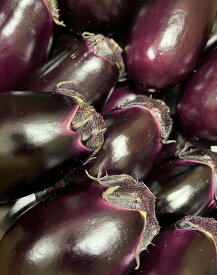 鮮度抜群 冷蔵発送 まるやま農園 泉州 生 水なす 水茄子 産地直送 ギフトお歳暮 年末年始 お供え