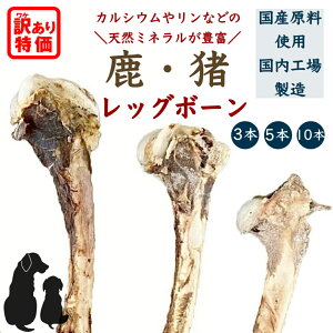 ybgt[h 󂠂 yY Yz bO{[ bO{[  p ^ ^ ^Ή Oet[  