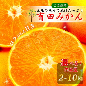 yYnz LcB݂ a̎RY n Â ƒp Iׂ锠TCY Ε NNn 