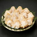 【極厚・大きさ自信あり】つぶ貝開き 500g 生食用 特大サイズ バイ貝 刺身OK コリコリ食感 鮮度抜群 海鮮 魚介 貝類 …