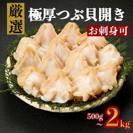 【極厚・大きさ自信あり】つぶ貝開き 500g 生食用 特大サイズ バイ貝 刺身OK コリコリ食感 鮮度抜群 海鮮…