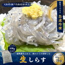 【無添加 鮮度】生しらす 小分け100g 冷凍 刺身 生しらす丼 海鮮 国産 お取り寄せグルメ お歳暮 選べる数量100g~1kg