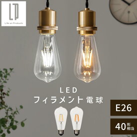 LED 電球 E26 40W 相当 電球色 昼白色 レトロ エジソン球 裸電球 おしゃれ 広配光 LEDフィラメント電球 ガラス 透明 クリア電球 フィラメント レトロ電球 ナス型 ロング 細長 雫形 しずく形 直径64mm 6.4cm ホワイト/イエロー LIT000133