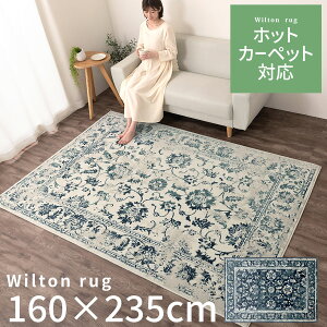 EBgD O O~ 160×235cm gΉ zbgJ[ybgΉ ` EBgD EBgDO EBg O}bg rO I[V[Y ~ OJ[ybg     