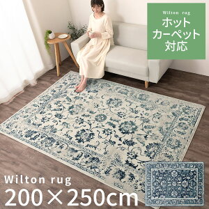 y}\JÒIz EBgD O O~ 200×250cm gΉ zbgJ[ybgΉ ` EBgD EBgDO EBg O}bg rO I[V[Y 
