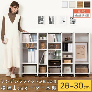 {I t ǂ { G{I X  ؐ I [^Cv  96 s32  28cm 29cm 30cm zCg/zCgEbh/I[N/EH[ibg ygi/iIׂz ABE4001