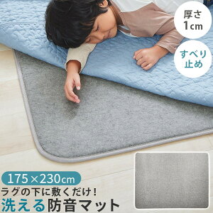 yXSiP3{11/1z h}bg ~O}bg 1cm Ỏɕ~ {[ vX  A_[O E^O J[ybgpbh 175×230 ` 傫 􂦂 