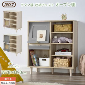 カラーボックス テレビ台 Toffy トフィー フラップ扉 ディスプレイラック フラップ 隠す 隠せる リビング収納 扉 ゲーム機 こども PUTUPUTU グレージュ/グレー 【組立品/完成品が選べる】 LCB642310