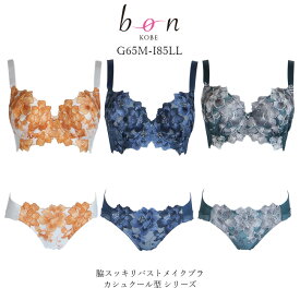【bon】大きいサイズの脇スッキリバストメイクブラ カシュクール型 シリーズ☆ブラショーツセット【-GA-】