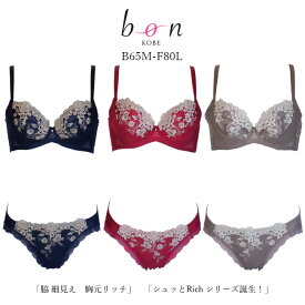 ブラショーツセット 「脇 細見え　胸元リッチ」　「シュッとRich シリーズ誕生！」