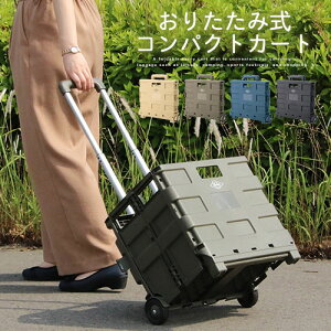 AEghA L[J[g e25L ܂ Thx[W/J[L/lCr[/ubN CeAƋƎG L ikea i ETC001565