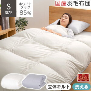 本掛け 羽毛布団 冷え対策 軽量 シングルサイズ 日本製 洗える 防ダニ 防汚 花粉フリー 掛布団 秋 冬用 春 あったか 寝具 ホワイトダックダウン 85% 350dp 冬用掛け布団 ふかふか なめらか 静電