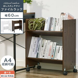 LX^[S ؐ 2i A4t@CbN ΂ t@C[ ₷ o₷ ގ[ 60cm bN I fXNS TChS bN ރP[X {[ ItBX[ 