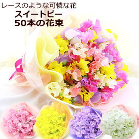 お届け期間限定 春の香りを贈っちゃおう♪ 選べる スイートピー スイトピー 50本 花束 送料無料 誕生日 御祝 お祝い 冬生まれ 春の花 合格祝い ホワイトデー 卒業 記念日 結婚 [花束]