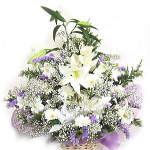 AWE yyΉz ~ 䋟  ~ V~    ~ ފ @ t[ rWlX   蕨 [ԃAWg]