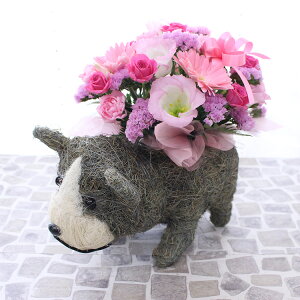 ƂԂ̃C[WIׂyAj}oXPbgAWzv[g  G߂̉Ԃł܂ AWg vw̓  a LO  oY JX  ybg C