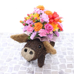 ƂԂ̃C[WIׂyAj}oXPbgAWzv[g  G߂̉Ԃł܂ AWg vw̓  a LO  oY JX  ybg C