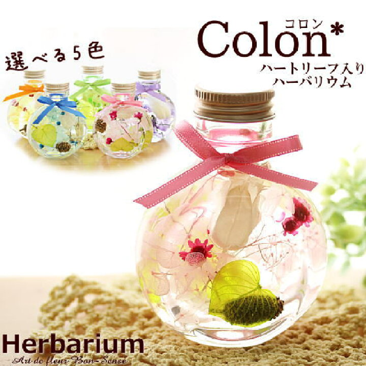 楽天市場】「コロン」ハーバリウム ギフト 花 ドライフラワー  