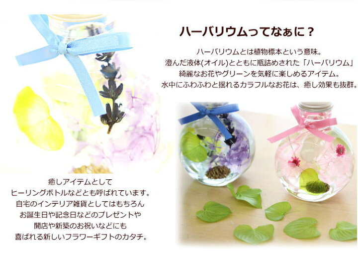 楽天市場 コロン ハーバリウム ギフト 花 ドライフラワー プリザーブドフラワー 植物標本 プレゼント アールdeフルール ボン サーンス 楽天市場 コロン ハーバリウム ギフト 花 ドライフラワー プリザーブドフラワー 植物標本 プレゼント アールdeフルール ボン サーンス