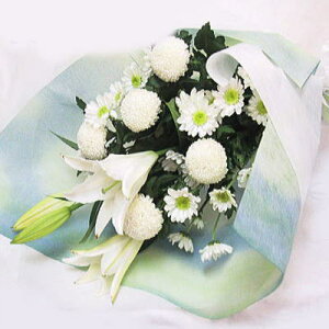 菊 生花の人気商品 通販 価格比較 価格 Com