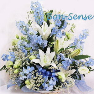  AWD y ~ 䋟  ~ V~  蕨 [ԃAWg]