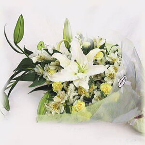 pԑA ~ 䋟  ~ V~  蕨 y [ԑ]