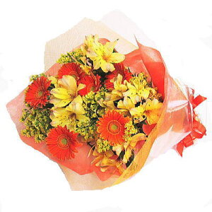 A^[gu[P ԑ r^~J[ a LO oYj ސE j   Mtg   [ԑ]