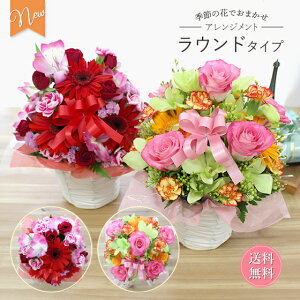 yEh^Cvza v[g   G߂̉Ԃł܂AWg a  vw̓ Mtg  JX I[v LO j t[  ސE 