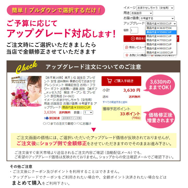 Tshop R10s Jp Bon Sense Cabinet Iv De2 22 Up 363