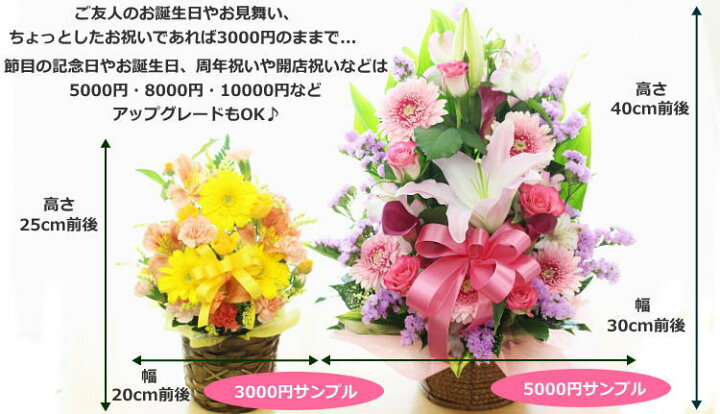楽天市場 楽天1位 誕生日 プレゼント 女性 送料無料 季節の花でおまかせアレンジメント 結婚記念日 お祝い フラワー お見舞い 退職 送別 楽ギフ メッセ入力 父の日 ギフト 開店 オープン 花 プレゼント 即日発送 アールdeフルール ボン サーンス 楽天市場 楽天1位 誕生日 プレゼント 女性 送料無料 季節の花でおまかせアレンジメント 結婚記念日 お祝い フラワー お見舞い 退職 送別 楽ギフ メッセ入力 父の日 ギフト 開店 オープン 花 プレゼント 即日発送 アールdeフルール ボン サーンス