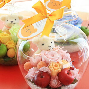 vU[uht[Ƃ߂KX̃SɂЂƂ߂ڂu||t[v [vU[uht[]