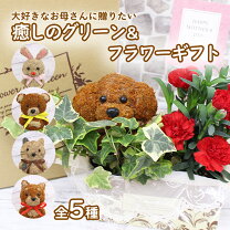 楽天市場】トピアリー セット（花・観葉植物｜花・ガーデン・DIY）の通販