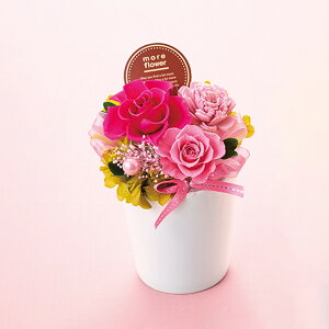 vU[uht[ Iׂ21ʂ NAP[X  Mtg  a v[g LO j oYj zj ސEj j t[Mtg o[XfB t CeA 