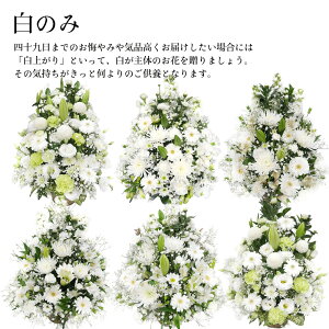 ފ ~ 䋟  ~ V~ G߂̂Ԃł܂   ~ ފ y @  AW t[ rWlX   蕨  y摜zMzt[AW