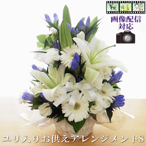 yz  蕨 䋟 y Iׂ   ܂ AWg ފ ~ ~    AW @ @v ~  y摜zMz [ԃA