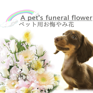 ̋ő҂1l̉Ƒց`ybgpIׂ  AW 䋟   ybg  ފ @v  @ 摜zMOK y  [ԃAWg]