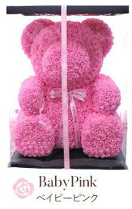 w [YxAxyzwszԃMtg  a JXj  TvCY[ԃMtg]