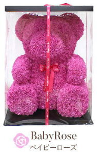 w [YxAxyzwszԃMtg  a JXj  TvCY[ԃMtg]