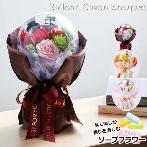 uo[V{u[Pv av[g [\[vt[] V{t[ ԑ u[P Mtg v[g hV̓ a j oYj LO ސE } ʉ җ Ê