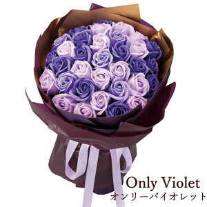 uOnly [Yu[Pv av[g [\[vt[] V{t[ ԑ u[P Mtg v[g ̓ a j oYj LO ސE } ʉ җ Ê  