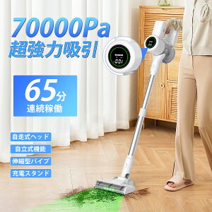 2025ZpvVŃfyԌ聚1000~OFFN[|tz |@R[hX  70000pa ͋z 65minAғ  X^h y É 3iK[h 550W [d TCN Mtg LEDt