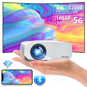 vWFN^[ ^ 12000LM 掿yWIFIΉz邢 HD300" 4KΉ y1080P𑜓xz`␳ Y[@\ 5G&2.4GWiFi z[vWFN^[ BluetoothΉ PC/^ubg/iPhone/TV Stick/PS5Q[