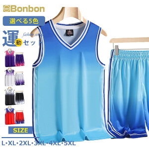 W[W ㉺Zbg Y  Of[V X|[cEFA ^Ngbv V[gpc ڐG⊴ ^ z oXPbg{[EGA g[jO