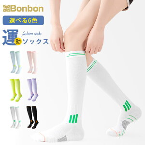 St nC\bNX fB[X C StEFA StMX XgbLO \bNX X|[cEFA UVJbg ^ t