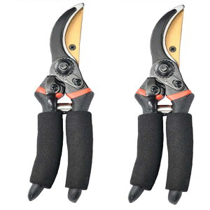 yr[CxgJÒz΂ oT~ 2iK߉\  p |p͂ SK85Yf|n Kтɂ K[fjO ₷}؂͂ ₷ Kтɂ