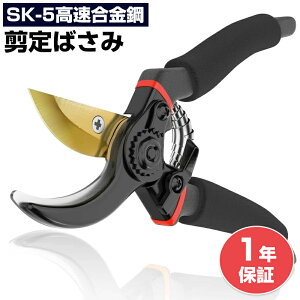 �y�|�C���g10�{�z����΂��� ����o�T�~ 2�i�K���߉\ ������ �����p ���|�p�͂��� SK85���Y�f�|�n �K�тɂ��� �K�[�f�j���O ����₷���}�؂�͂��� ����₷�� �K�тɂ��� ���b�N���[ �K